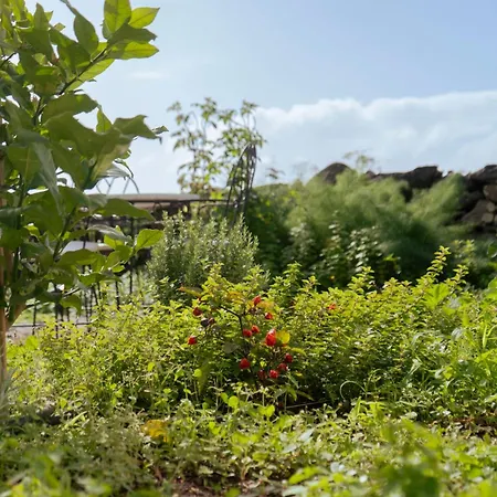 Quinta Marefe - On The Stunning West Coast Paul do Mar (Madeira)