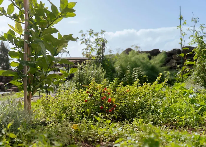 Quinta Marefe - On The Stunning West Coast Villa Paul do Mar (Madeira)